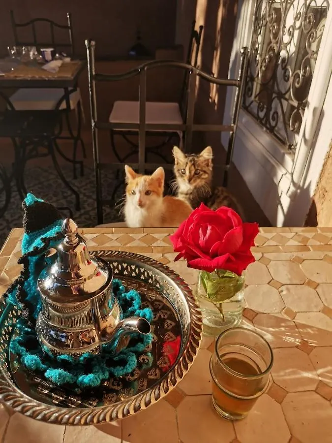 ***  مراكش Riad Terracota المغرب