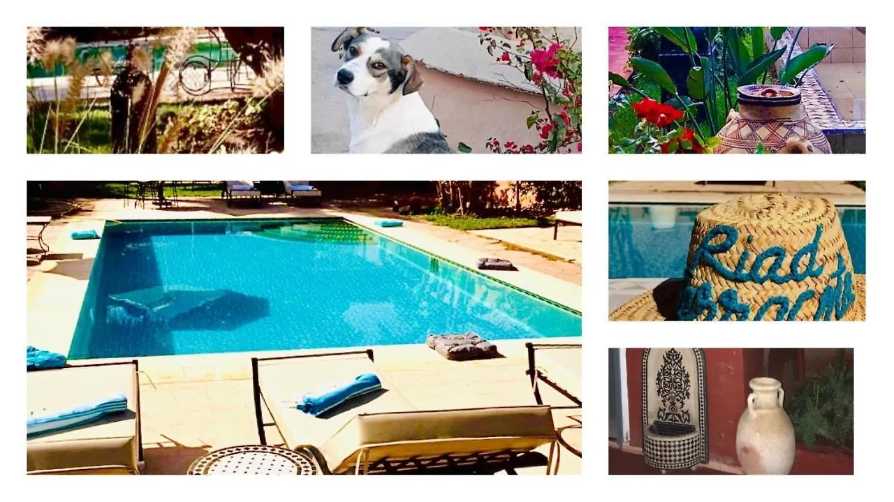 Riad Terracota Marrakesh
