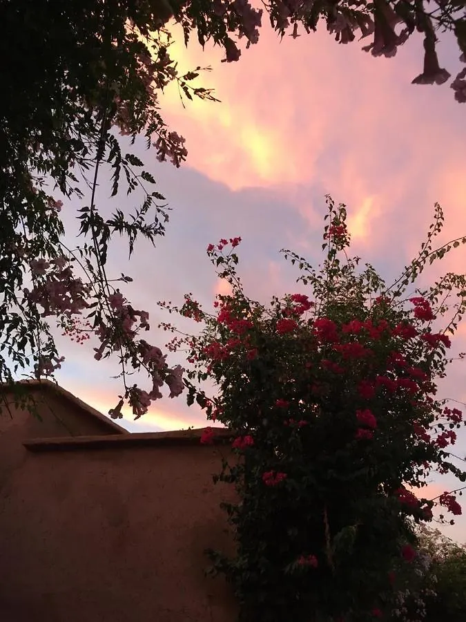 Riad Terracota Marrakesz