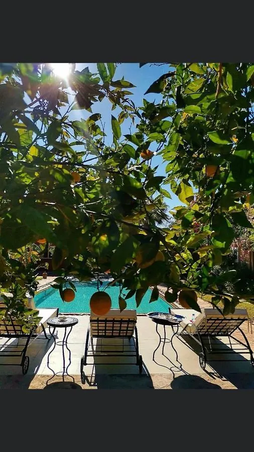 Riad Terracota Marrakesz
