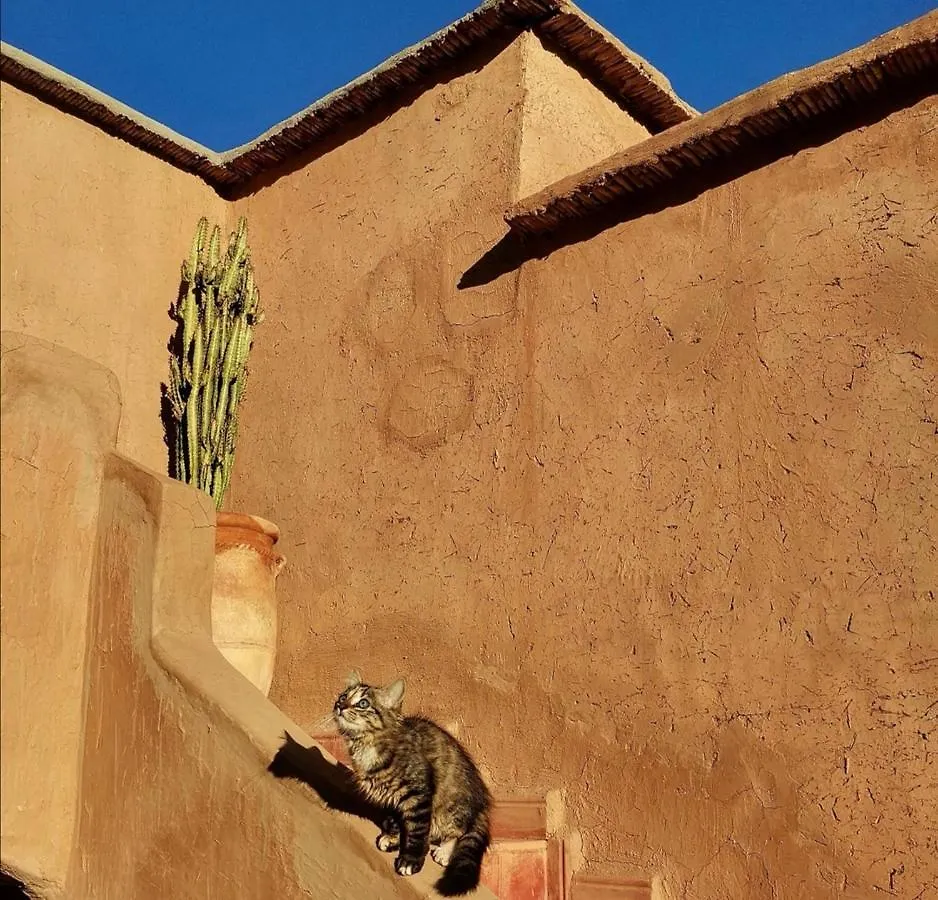 Riad Terracota Marrakesh 3*,  Morocco
