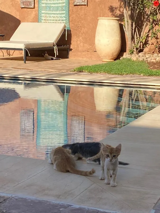 ***  Riad Terracota Marrakesh Morocco
